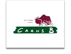 CARNS B, S. A.